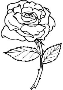 50 Desenhos de Rosa para colorir Dicas Práticas