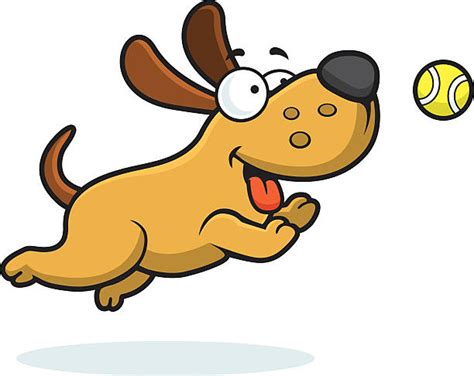 Dog Catcher Illustrations, Royalty-Free Vector Graphics & Clip Art - iStock