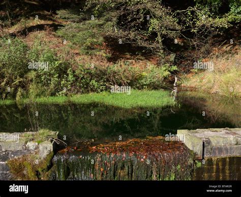 Water Overflow Pond England Uk Stock Photo Alamy