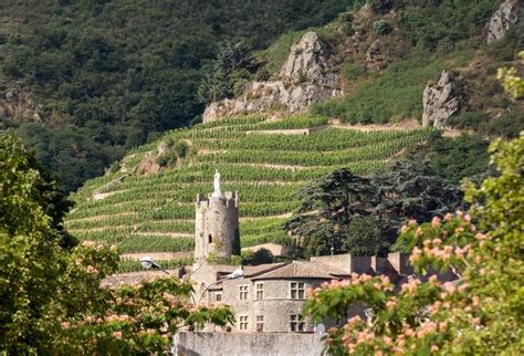 Famous Wines And Unsuspected Vintages Of Northern Rhone Valley Kimkim