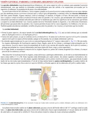 Anatomia Sindrome Del Manguito Rotador Ficha De Identificaci N De