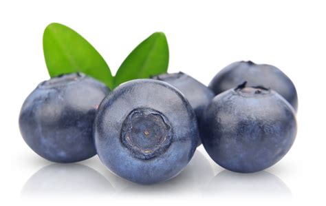 Blueberry PNG Pic | PNG All