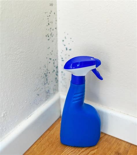 Premium Photo Antimould Spray For Mold Removal