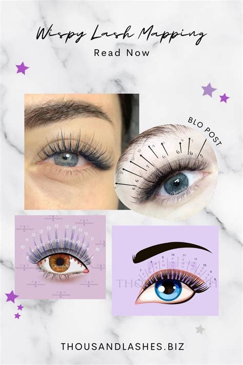 A Comprehensive Guide To Lash Mapping Lashes Wispy Lashes Makeup