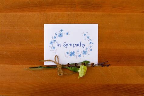 Sympathy Cards, 10 Pack, In Sympathy Cards, Bulk Sympathy Cards ...