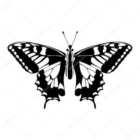 White butterfly silhouette — Stock Vector © vlad210498 #44757167