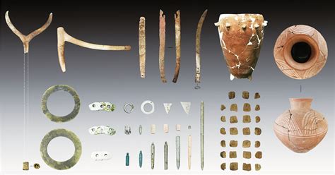 Findings and Insights from Research into the Origins of the Chinese ...