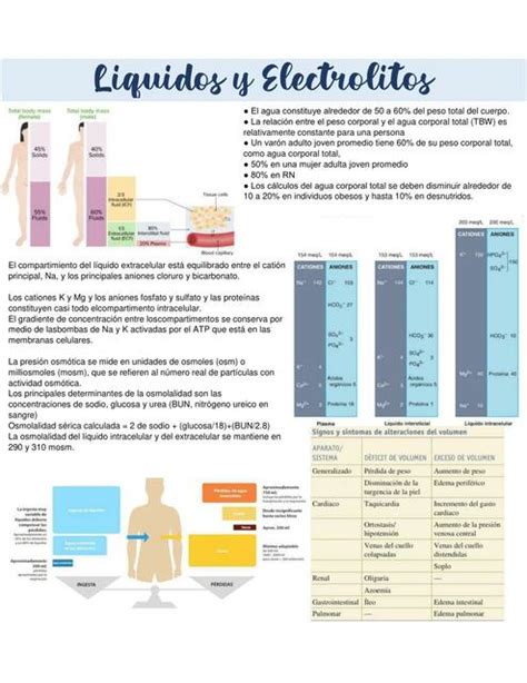 LIQUIDOS Y ELECTROLITOS Anett Escamilla UDocz