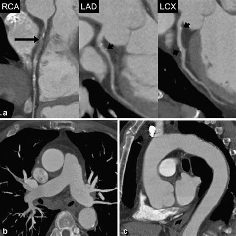 A Year Old Male Patient Admitted To The Emergency Department With