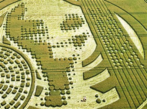 Crop Circle Gallery 81