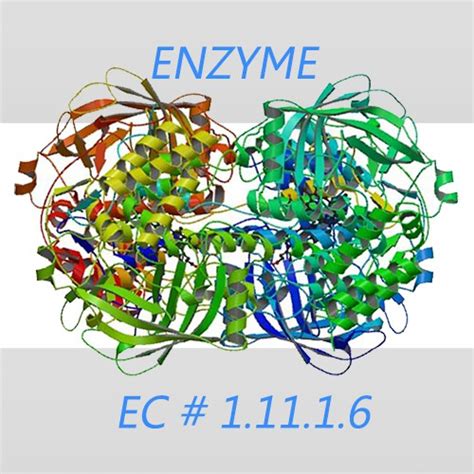 Catalase