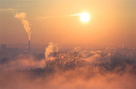 Natura vs smog Kto wygra walkę o powietrze w miastach