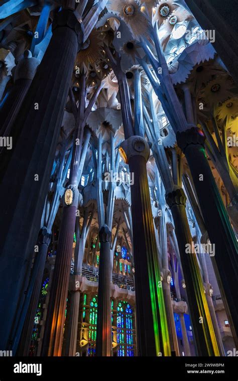 Barcelona Spanien November Innenraum Der Sagrada Familia