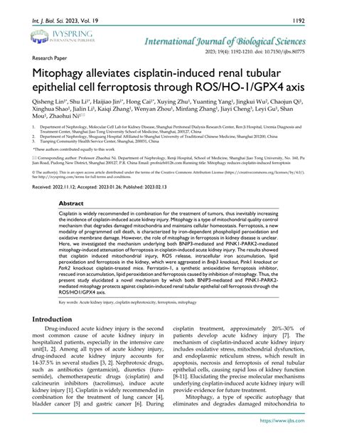 Pdf Mitophagy Alleviates Cisplatin Induced Renal Tubular Epithelial