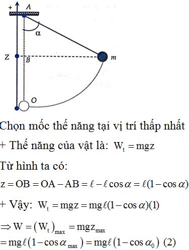 Thế năng con lắc đơn Hiểu rõ về khái niệm và ứng dụng trong đời sống