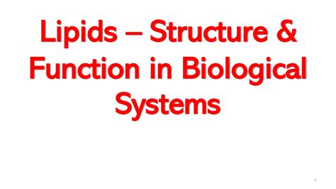 SOLUTION: 6 lipids structure function - Studypool