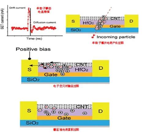 研究揭示碳纳米管器件和电路单粒子效应机理 中国核技术网