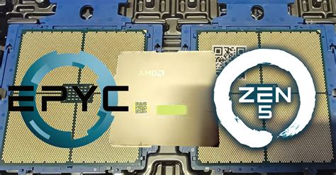 AMD's Next-Gen Zen 5 EPYC "Turin" CPUs Pictured: Leak Reveals 128 Core ...