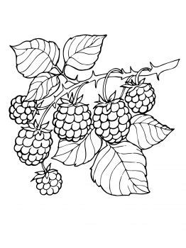 Free Black Berries Cliparts, Download Free Black Berries Cliparts png images, Free ClipArts on ...