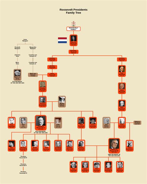 Roosevelt Presidents Family Tree : r/UsefulCharts