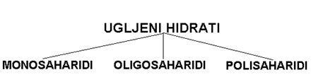 Ugljeni Hidrati