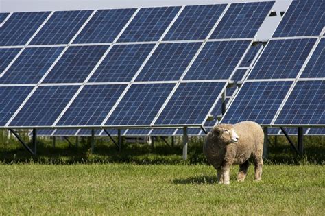 New Research Shows Farms Are The Best Land For Solar Panels Modern Farmer