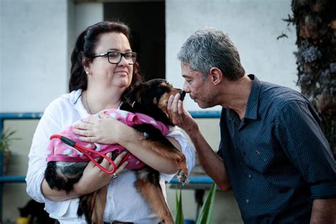 Dia do Veterinário A história de quem realizou o sonho de cuidar dos