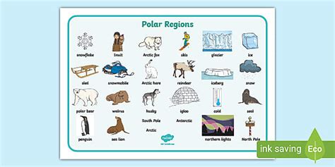 Polar Regions Word Mat Teacher Made Twinkl