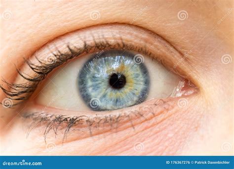 Close Up of Feminine Natural Blue Eyes and Eyelashes Stock Photo ...