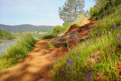 Folsom Lake State Recreation Area - Visit Folsom