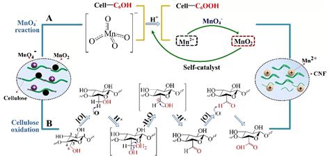 硬核！陕西科技大学近期科研成果巡览——马建中教授团队在《advanced Functional Materials》等国际知名期刊发表多篇高