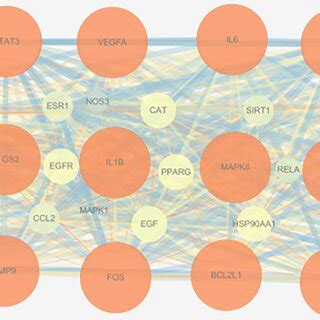 Protein–protein interaction network graph: top 36 core targets with the ... 
