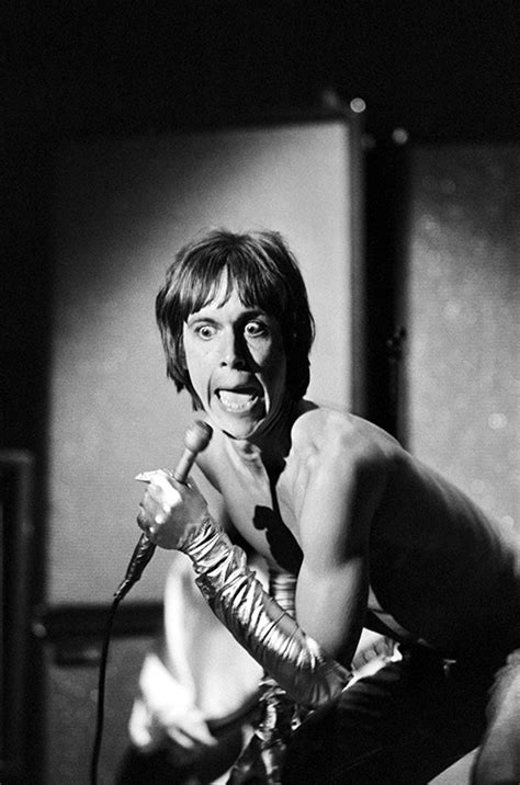 Iggy Pop And The Stooges Logo