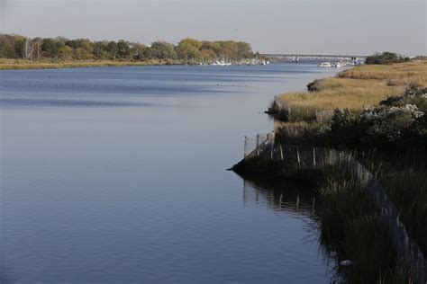 Once A Fetid Mess Now Serene Wetland Nyc Waters Transform