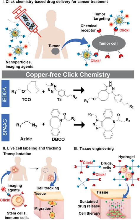 Illustration Showing The Applications Of Copperfree Click Chemistry In