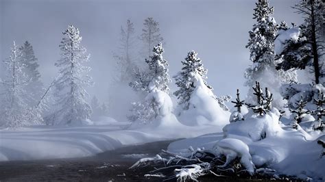 🔥 [70+] Snowy Trees Wallpapers | WallpaperSafari