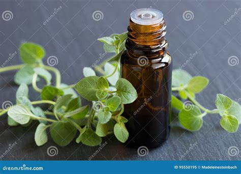 A Bottle Of Oregano Essential Oil With Fresh Oregano Leaves Stock Image