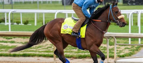 Kentucky Derby Skinner Odds Picks Predictions Bettingpros