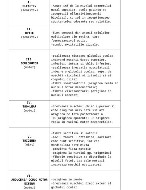 Docx Biologie Nervi Craniei Dokumen Tips