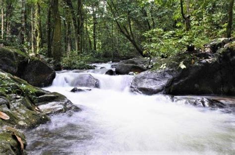 Berburu Kesegaran Alam Di Riam Angan Tembawang Kalbar Turisian