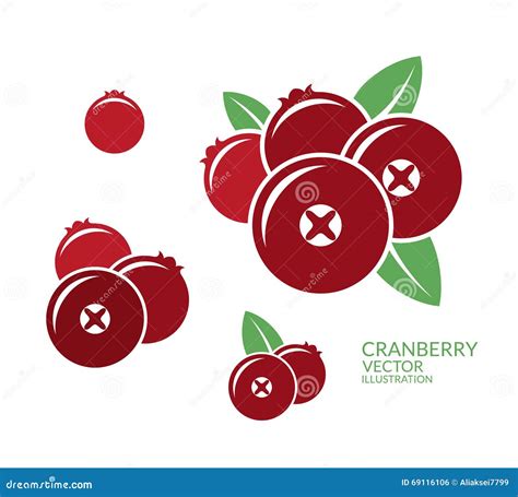 Cranberry Icon Set Stock Vector Illustration Of Sign 69116106