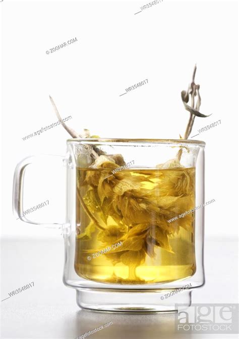 Griechische Kr Utertee Im Glas Stock Photo Picture And Royalty Free