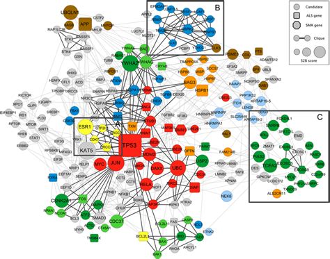 S2b Candidate Interaction Network Edges Represent Direct Physical