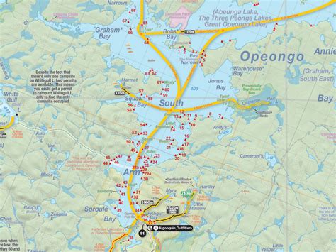 Lake Opeongo South Arm Campsite In Algonquin Park Campsite Report