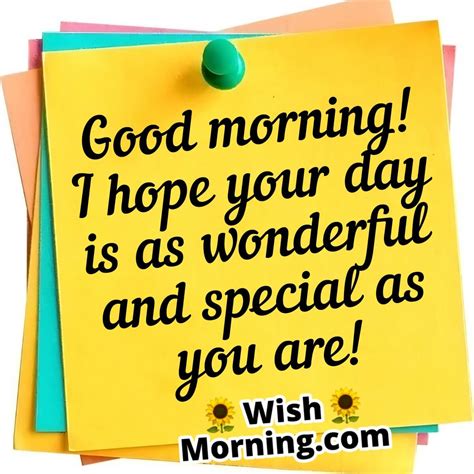 wonderful pictures