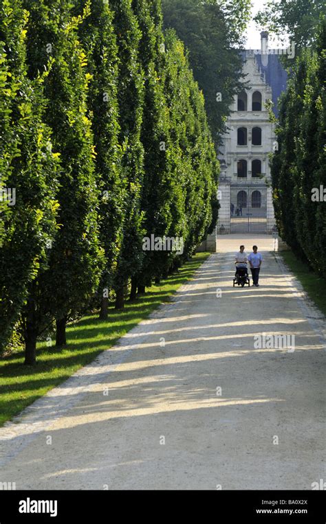 France Indre Et Loire Azay Le Rideau Tree Lined Entrance To The Chateau