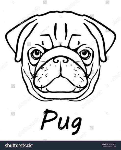 Pug Face Drawing at PaintingValley.com | Explore collection of Pug Face ...
