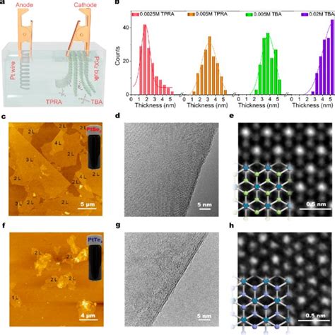 Synthesis Of Ptse Ptte Crystals Through Cvt Method A Schematic