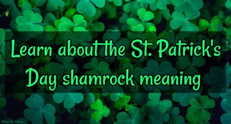 St. Patrick's Day Shamrock Meaning - 4 Leaf Clover vs Shamrock