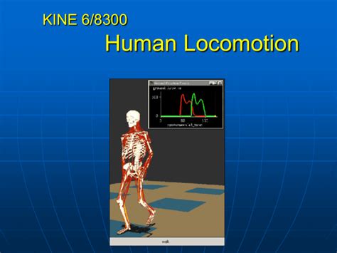 The Study of Human Locomotion